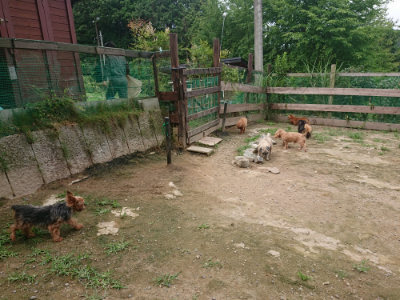 f:id:roukenhome-ann:20190705184624j:plain