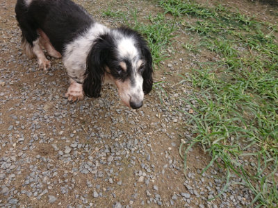 f:id:roukenhome-ann:20190705184630j:plain