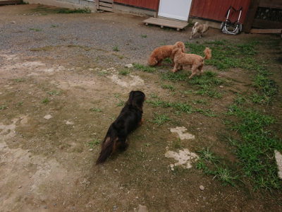 f:id:roukenhome-ann:20190705184724j:plain
