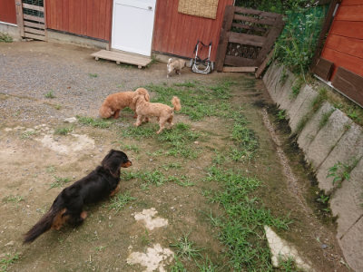 f:id:roukenhome-ann:20190705184729j:plain