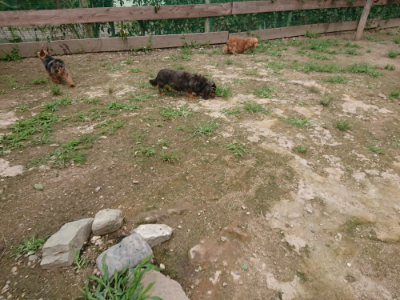 f:id:roukenhome-ann:20190705184755j:plain