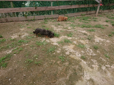 f:id:roukenhome-ann:20190705184812j:plain