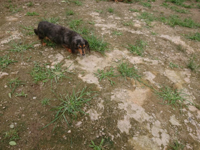 f:id:roukenhome-ann:20190705184817j:plain