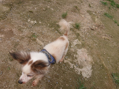 f:id:roukenhome-ann:20190705184832j:plain