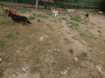 f:id:roukenhome-ann:20190705184838j:plain