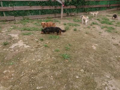 f:id:roukenhome-ann:20190705184844j:plain