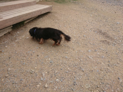 f:id:roukenhome-ann:20190705184905j:plain