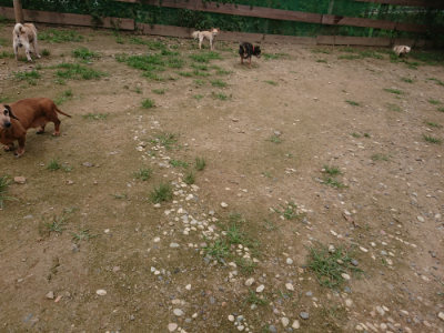 f:id:roukenhome-ann:20190705184957j:plain