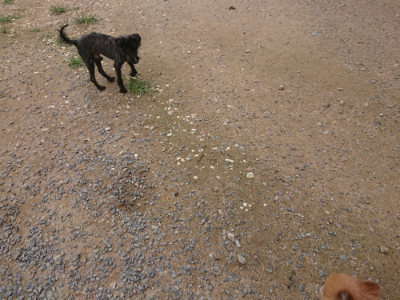 f:id:roukenhome-ann:20190705185007j:plain