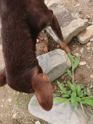 f:id:roukenhome-ann:20190705190713j:plain
