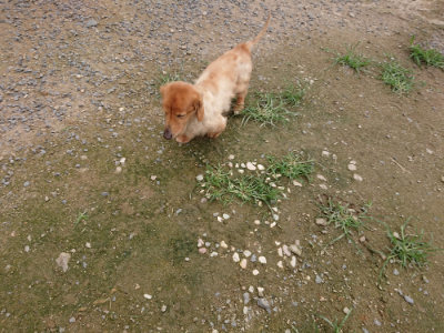 f:id:roukenhome-ann:20190705191015j:plain