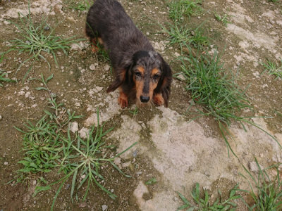 f:id:roukenhome-ann:20190705191043j:plain