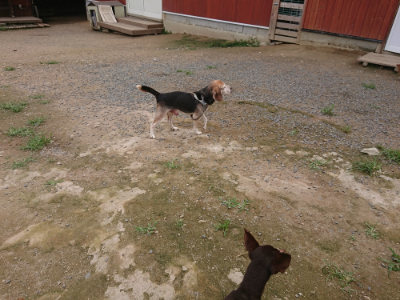 f:id:roukenhome-ann:20190705191222j:plain