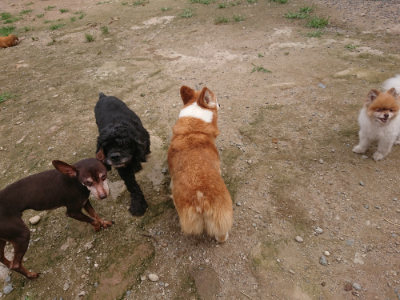f:id:roukenhome-ann:20190705191238j:plain
