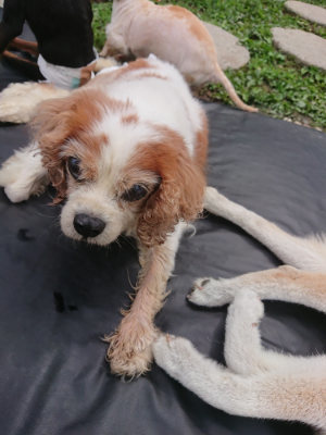 f:id:roukenhome-ann:20190705191409j:plain