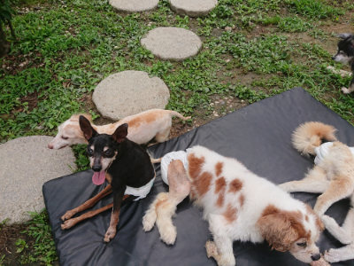 f:id:roukenhome-ann:20190705191414j:plain