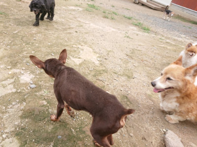 f:id:roukenhome-ann:20190705191426j:plain