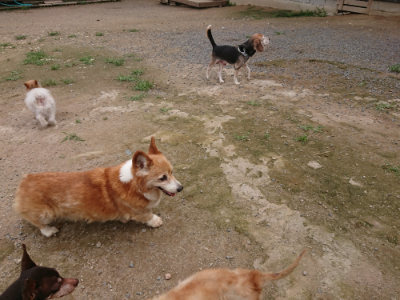 f:id:roukenhome-ann:20190705191433j:plain