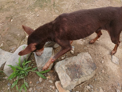 f:id:roukenhome-ann:20190705191450j:plain