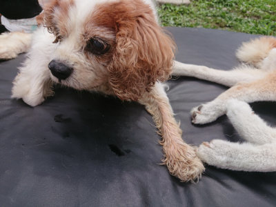 f:id:roukenhome-ann:20190705191655j:plain