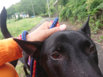 f:id:roukenhome-ann:20190705191757j:plain