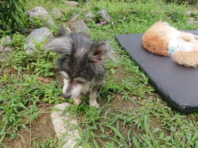 f:id:roukenhome-ann:20190705191820j:plain