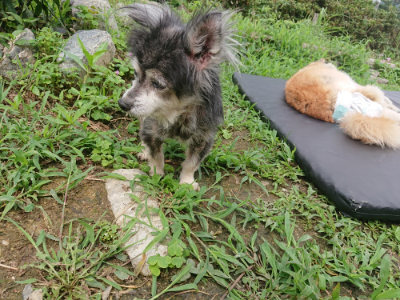 f:id:roukenhome-ann:20190705191848j:plain