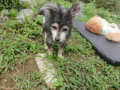 f:id:roukenhome-ann:20190705191854j:plain
