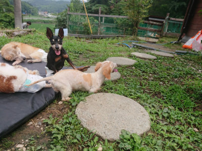 f:id:roukenhome-ann:20190705191901j:plain