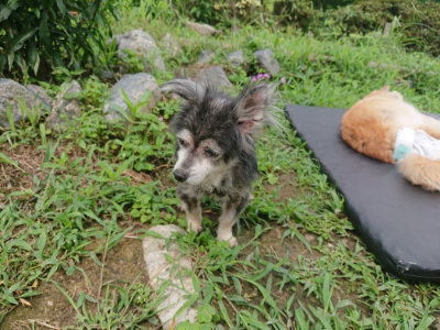 f:id:roukenhome-ann:20190705191938j:plain