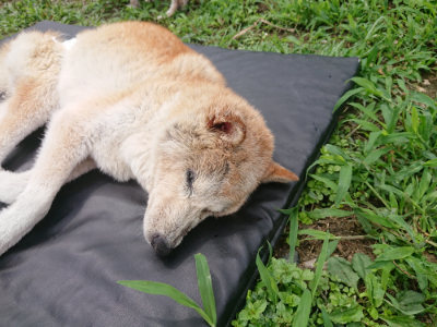 f:id:roukenhome-ann:20190705192017j:plain