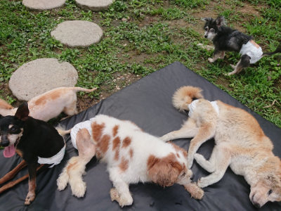 f:id:roukenhome-ann:20190705192207j:plain