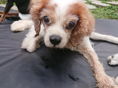 f:id:roukenhome-ann:20190705192227j:plain