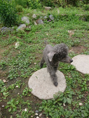 f:id:roukenhome-ann:20190705192546j:plain