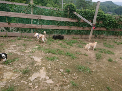 f:id:roukenhome-ann:20190705192807j:plain