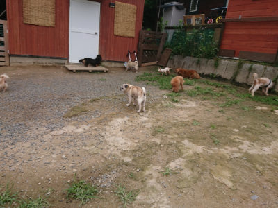 f:id:roukenhome-ann:20190705192814j:plain