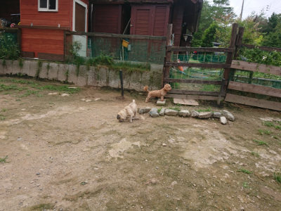 f:id:roukenhome-ann:20190705192821j:plain