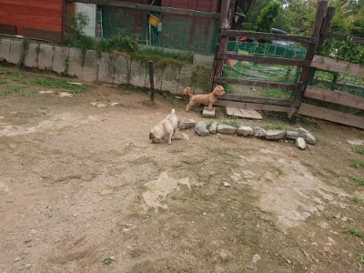 f:id:roukenhome-ann:20190705192827j:plain