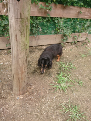 f:id:roukenhome-ann:20190705193028j:plain