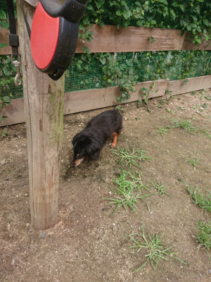 f:id:roukenhome-ann:20190705193034j:plain