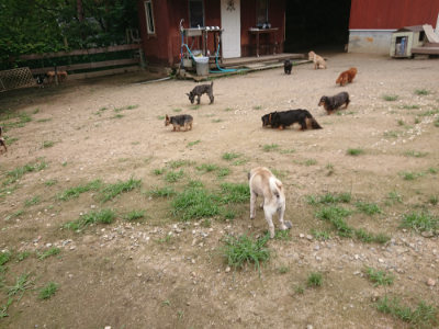 f:id:roukenhome-ann:20190705193039j:plain