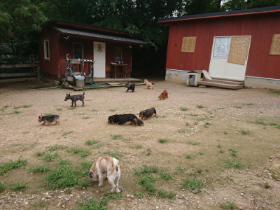 f:id:roukenhome-ann:20190705193044j:plain