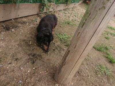 f:id:roukenhome-ann:20190705193055j:plain