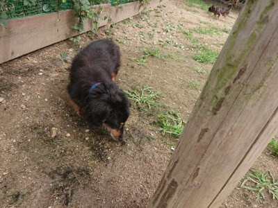 f:id:roukenhome-ann:20190705193102j:plain
