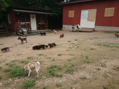 f:id:roukenhome-ann:20190705193107j:plain