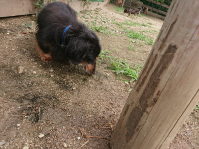 f:id:roukenhome-ann:20190705193118j:plain