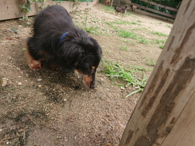 f:id:roukenhome-ann:20190705193124j:plain