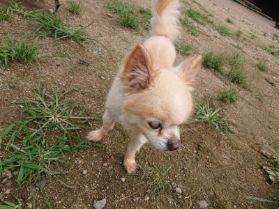 f:id:roukenhome-ann:20190705193153j:plain