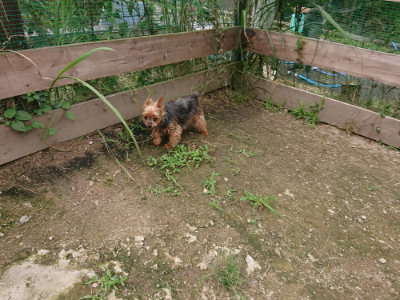 f:id:roukenhome-ann:20190705193203j:plain