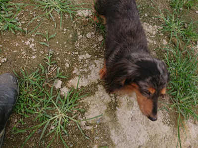 f:id:roukenhome-ann:20190705193230j:plain